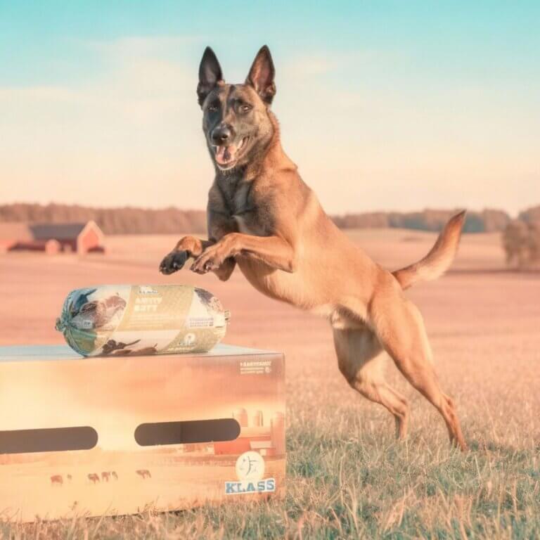 Cu29 - BLoggbild Klassfoder