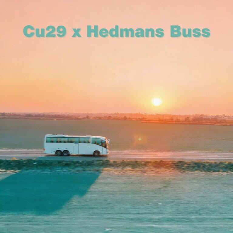 Cu29 - Cu29 x Hedmans Buss